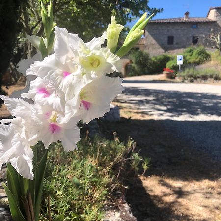Agriturismo Malpensata Radda in Chianti Exterior photo